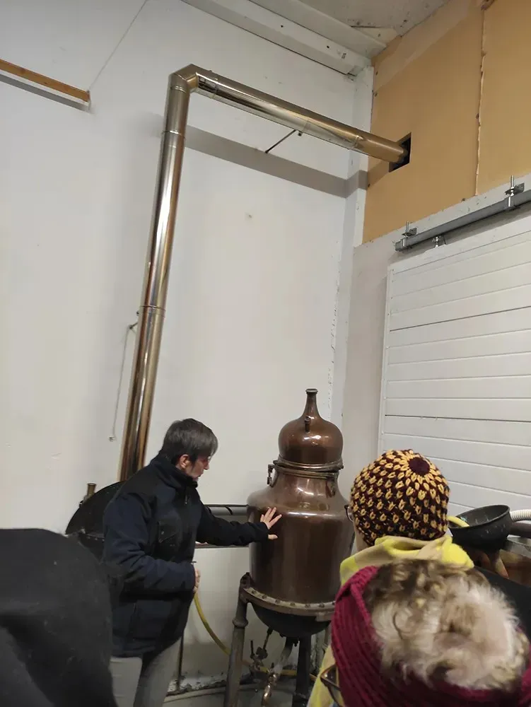 visites-guidees (5)